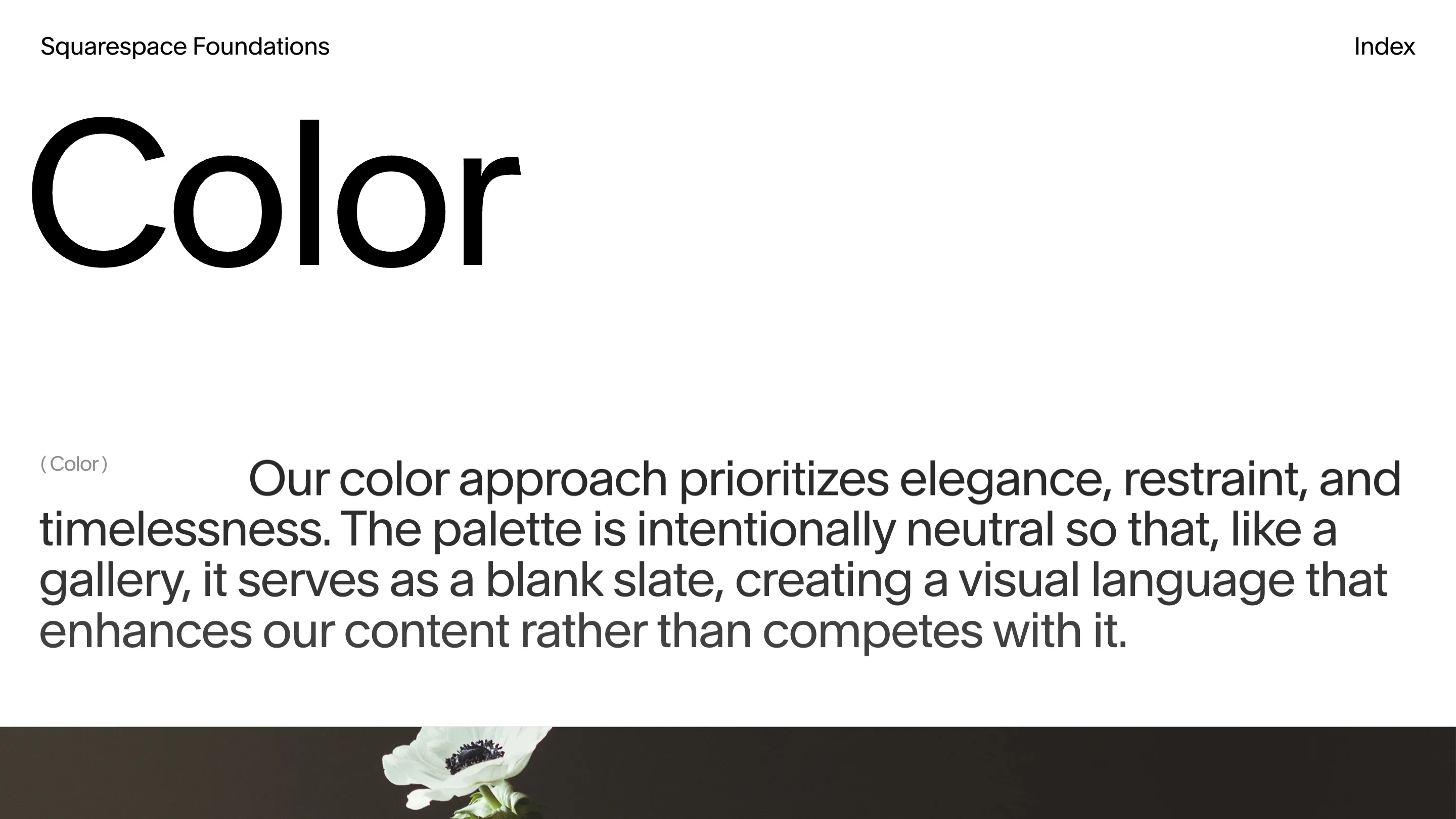 The Color page, all white and grey type, with a photograph of a white anemone entering from the bottom edge