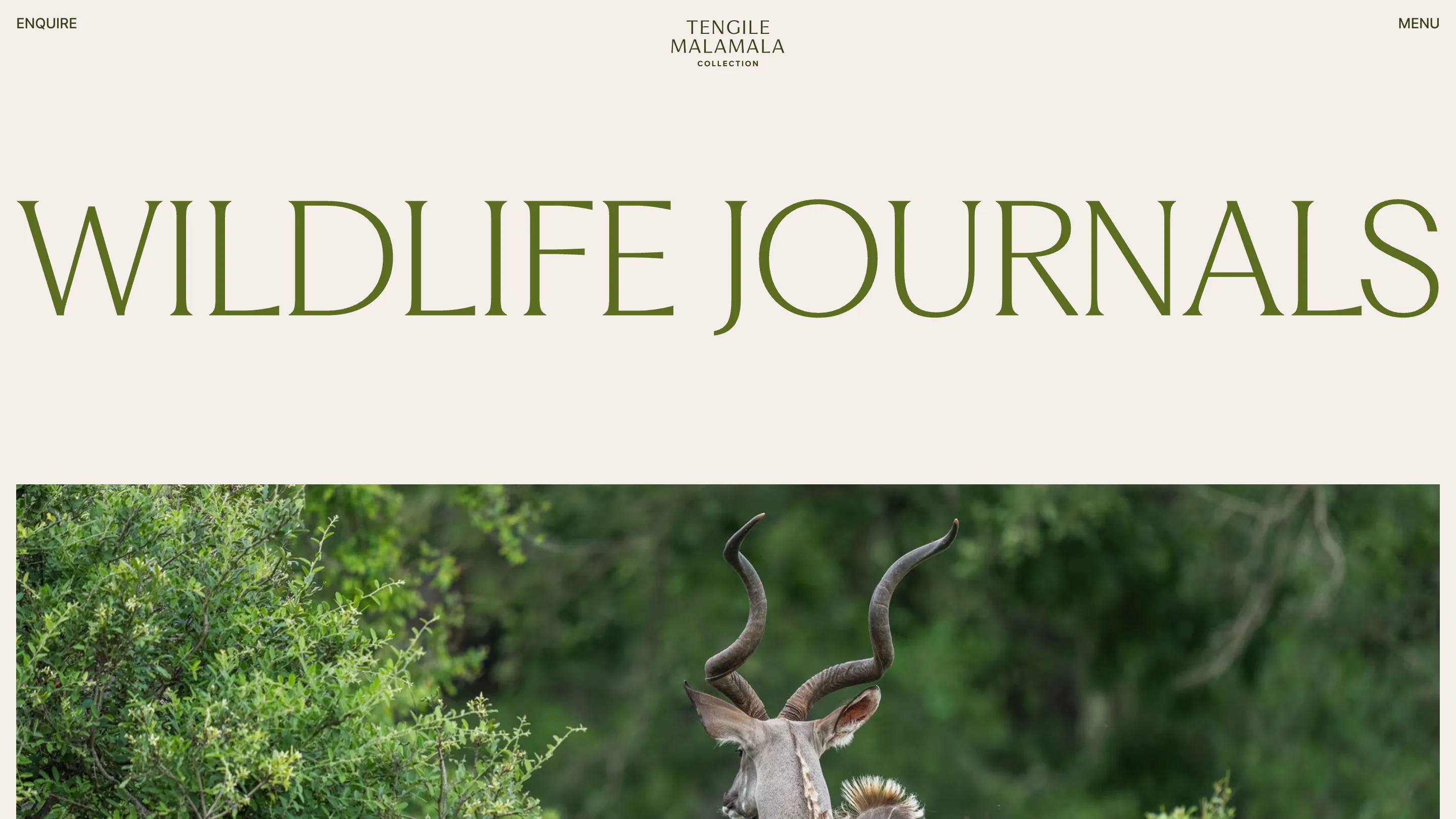 Wildlife Journals page with the title in one full-width line of olive capitals above a photograph of a kudu in the bush